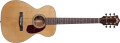 New Guild USA Standard Series Models
