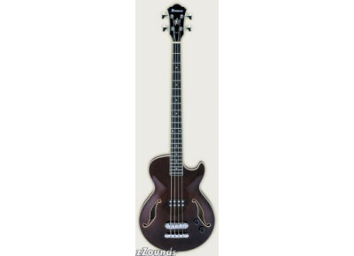 Ibanez AGB140