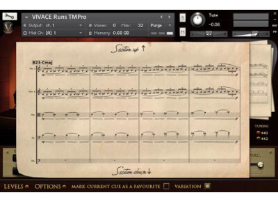 Sonokinetic Vivace