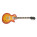 Voir la photo de la Epiphone 50th Anniversary 1959 Les Paul Standard Epiphone 50th Anniversary 1959 Les Paul Standard