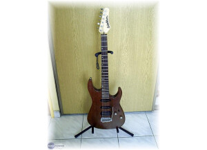 Washburn MG90