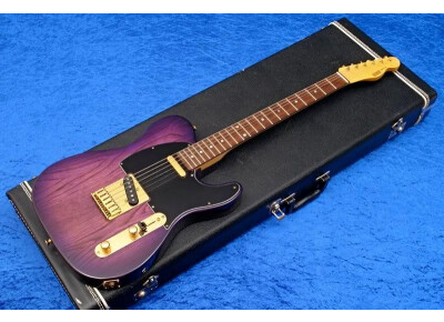ESP Series 800 Telecaster