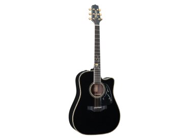 Takamine LTD2012 Michi