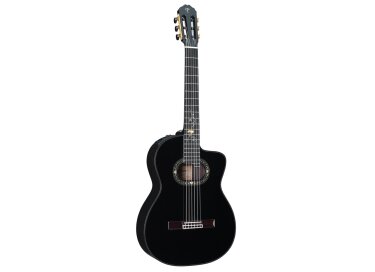 Takamine LTD2012C Michi