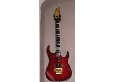 Washburn MG800
