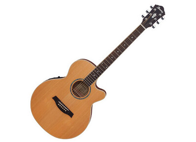 Ibanez AEG15E