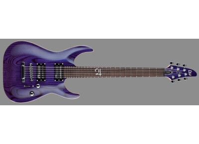 LTD RC-600 Rob Caggiano