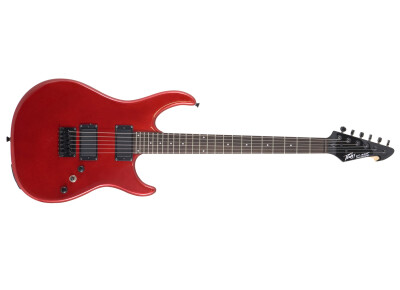Peavey AT-200