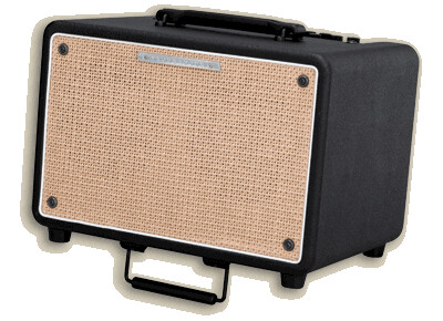 Ibanez Troubadour T150S