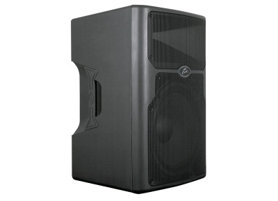 Peavey PVXp 15