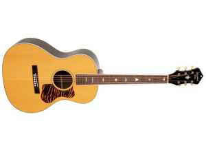 Recording King RNJ-17