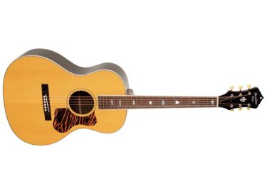 Recording King RNJ-17