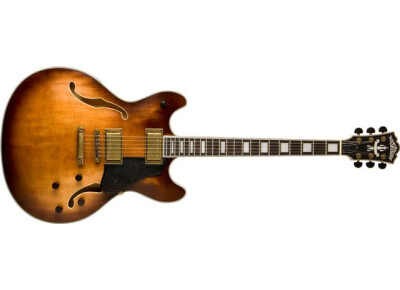 Washburn HB36