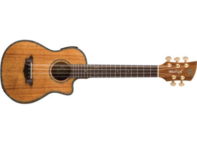 Oscar Schmidt OUWK100K