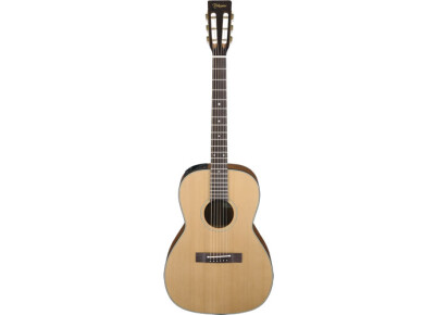 Takamine PTU408