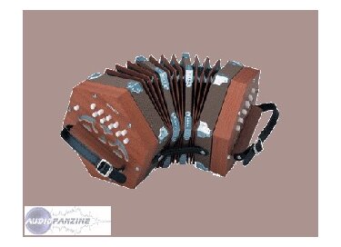 Hohner D40 Concertina