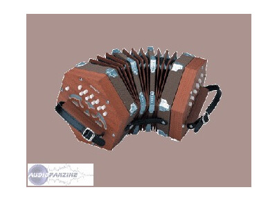 Hohner D40 Concertina