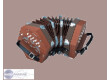 Hohner D40 Concertina