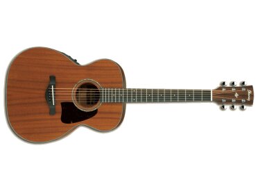 Ibanez AC240E