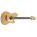 Voir la photo du Ibanez TCM50 Ibanez TCM50