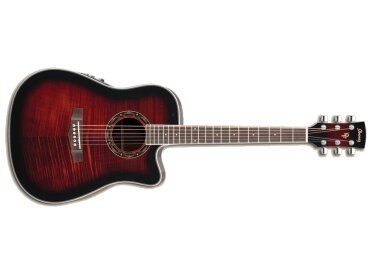 Ibanez PF28ECE
