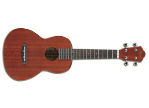 Ibanez UKC10