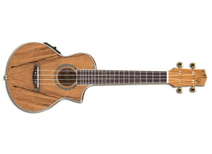 Ibanez UEW20SME