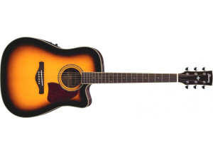 Ibanez AW300ECE