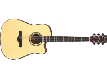 Ibanez AW3010CE