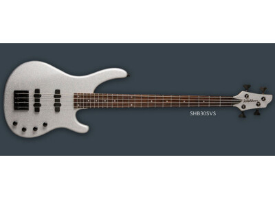 Washburn SHB30