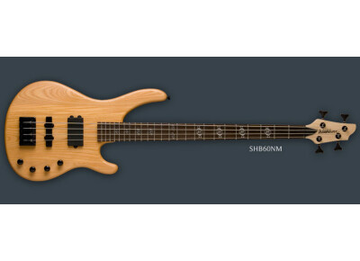Washburn SHB60