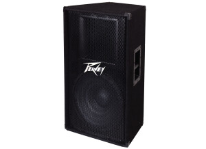 Peavey PV 115
