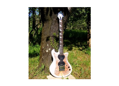 AMV Artist Luthier Hydra Vinci