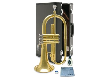 Yamaha YFH-2310