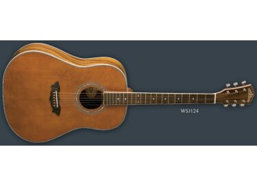 Washburn WSJ124K