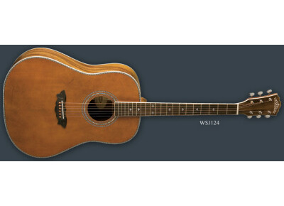 Washburn WSJ124K
