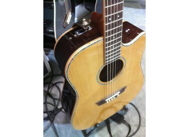 Washburn WD26SCE