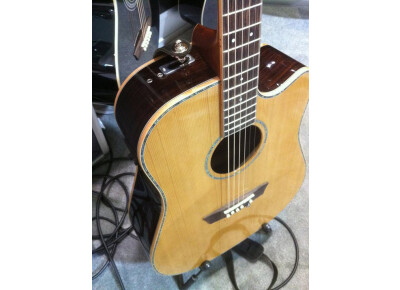 Washburn WD26SCE
