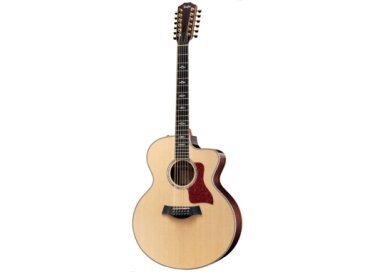 Taylor 855ce