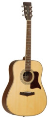 Tanglewood TW115 ST