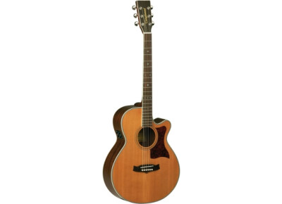 Tanglewood TW45 NS E