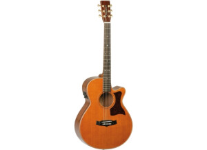 Tanglewood TW45 H E