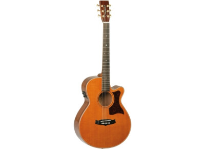 Tanglewood TW45 H E