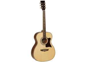 Tanglewood TW170 AS