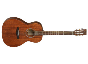 Tanglewood TW133