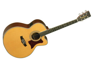 Tanglewood TW55 NS B