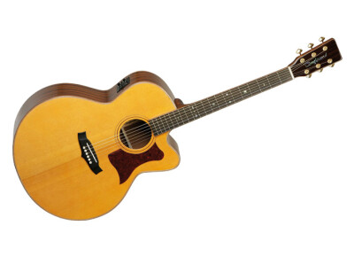 Tanglewood TW55 H B