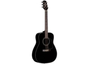 Takamine G321