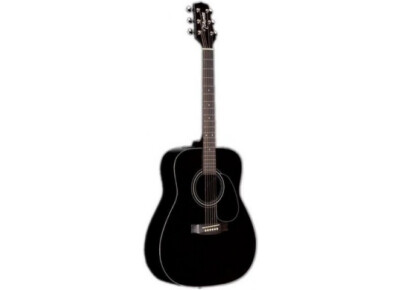 Takamine G321