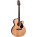 Voir la photo du Takamine EG540DLX Takamine EG540DLX
